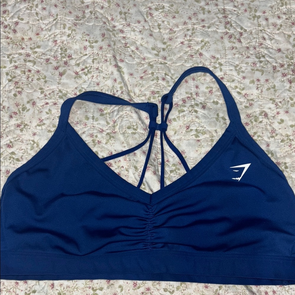 Blue Sports Bra